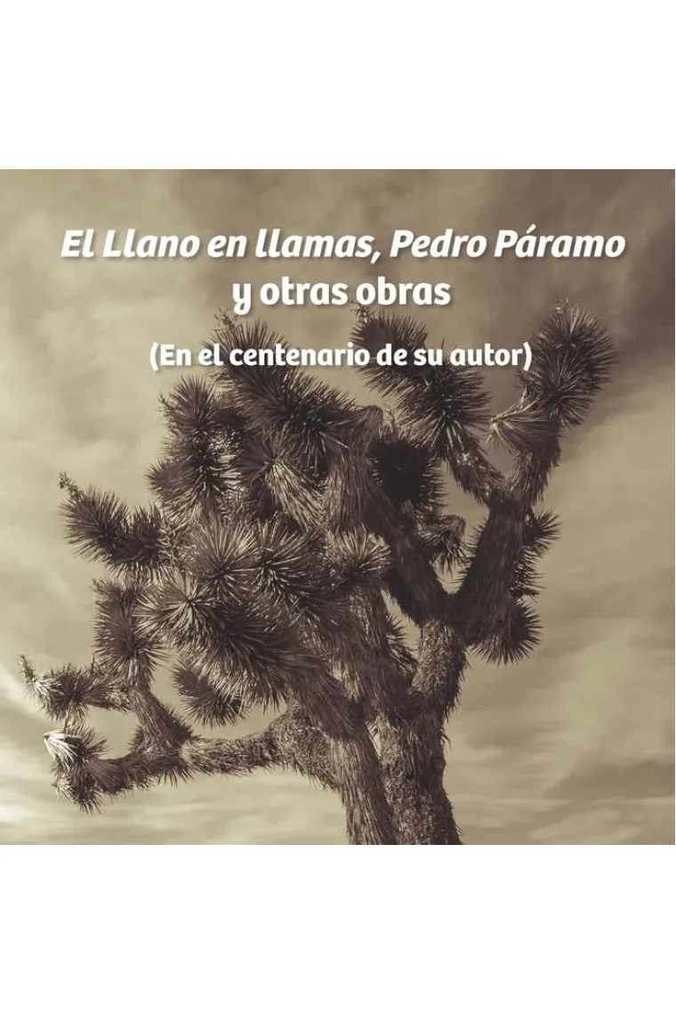 El Llano en llamas, Pedro Páramo y otras obras