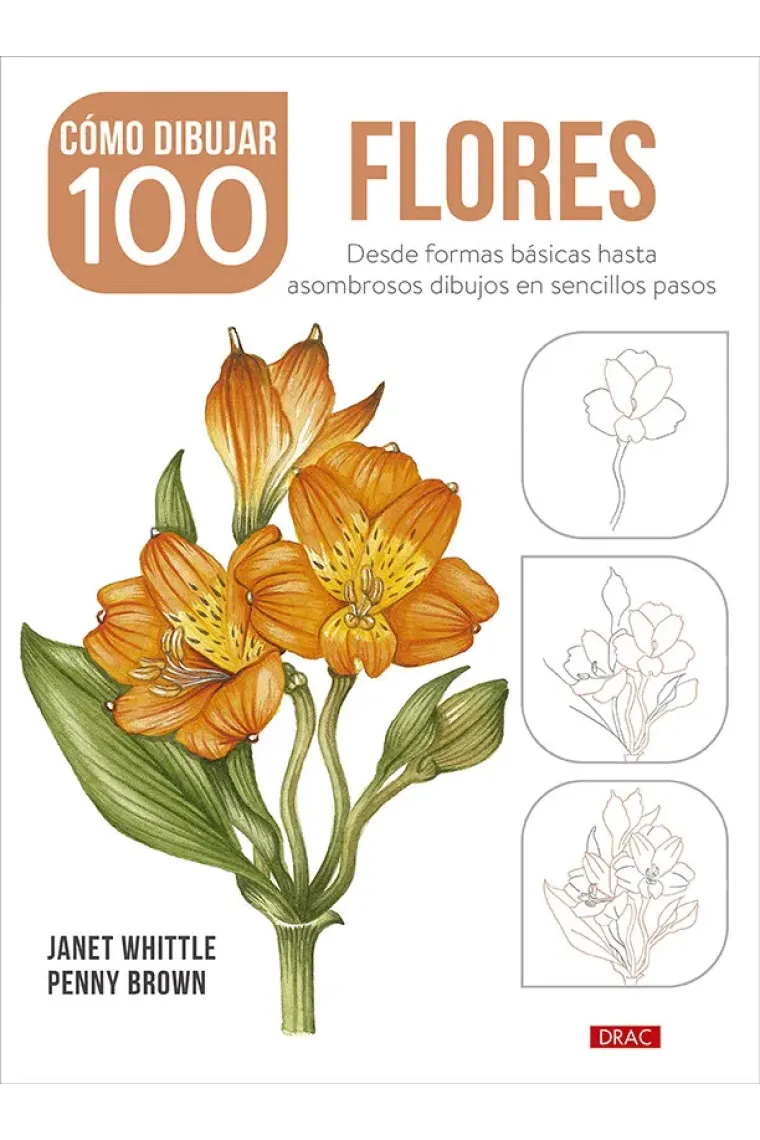 COMO DIBUJAR 100 FLORES