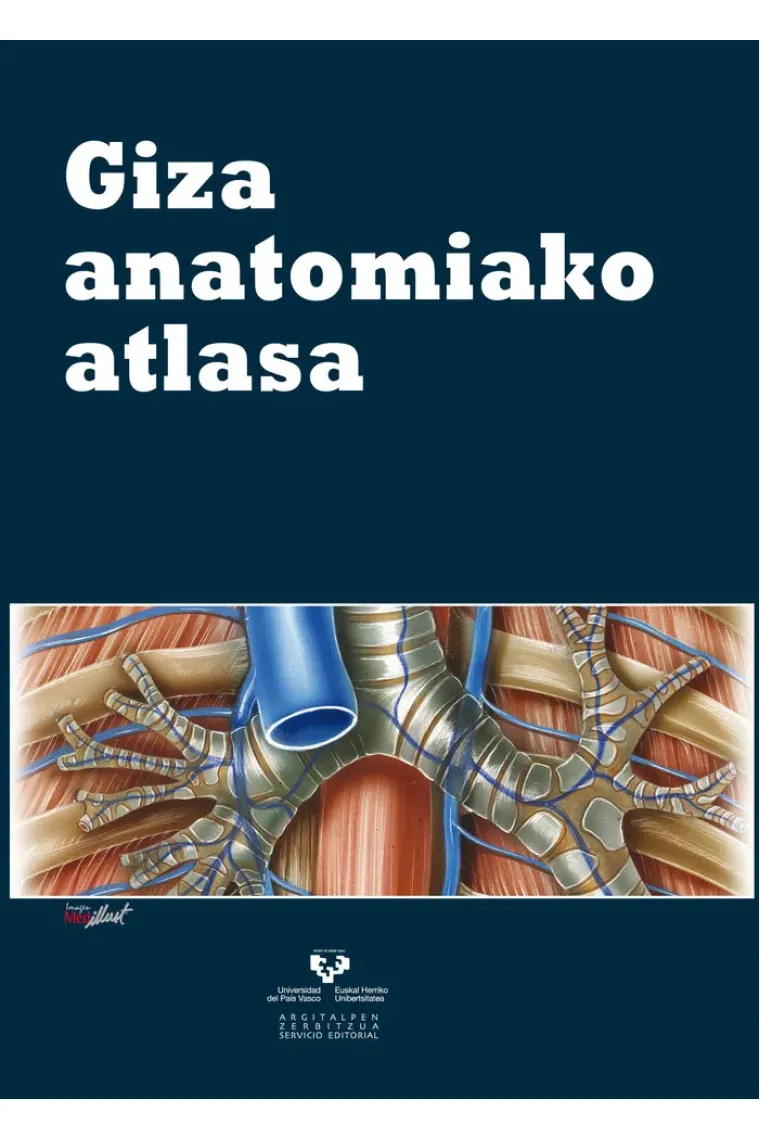 Giza anatomiako atlasa