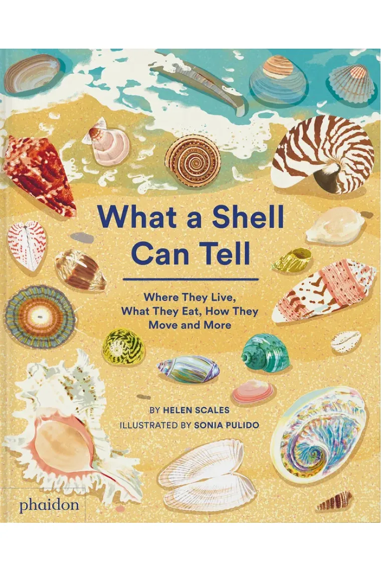 WHAT A SHELL CAN TELL (Inglés)