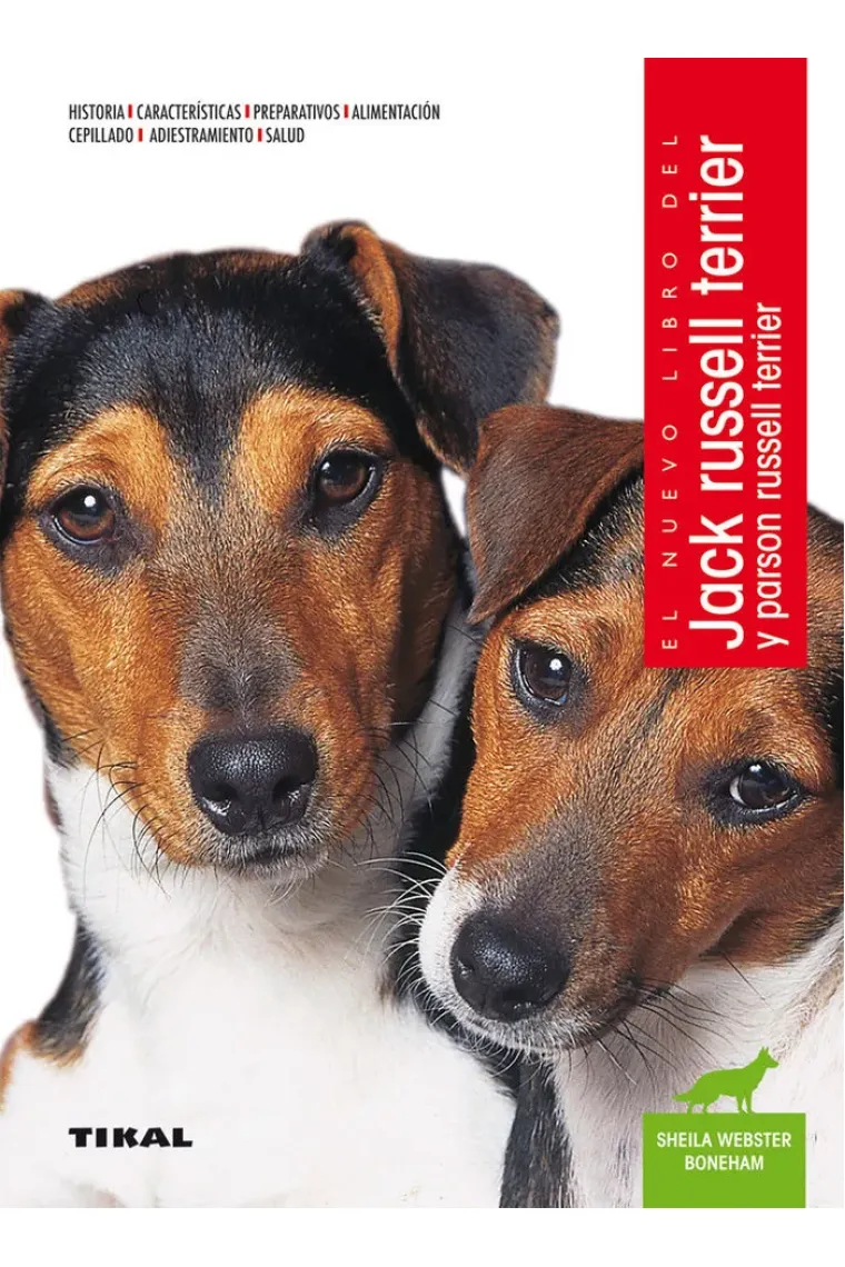 Jack russell terrier y parson russell terrier