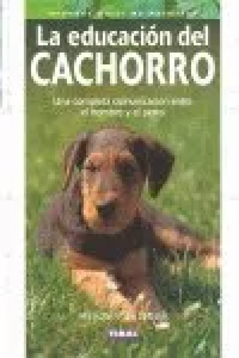 La educación del cachorro