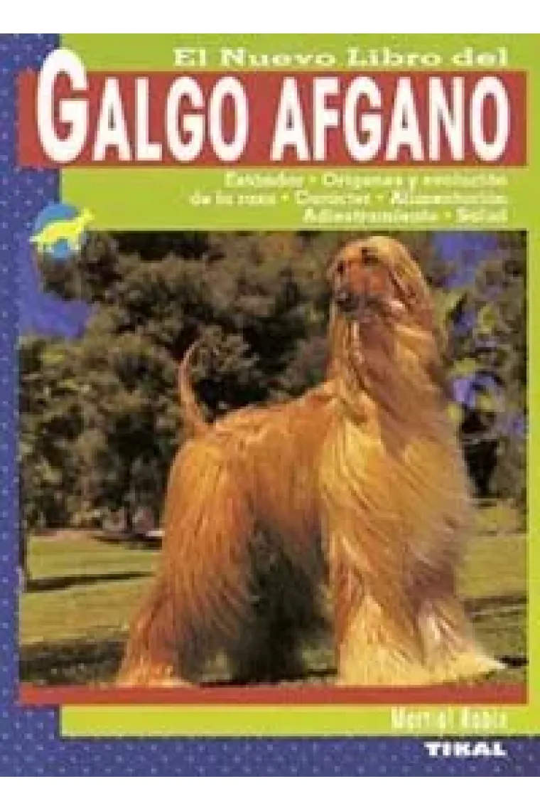 Galgo afgano