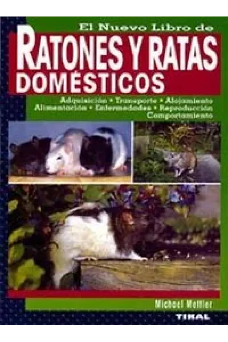 Ratones y ratas domésticos