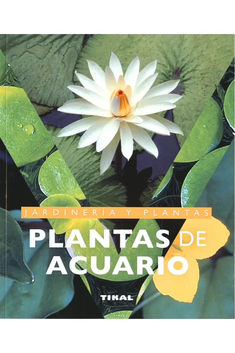 PLANTAS DE ACUARIO