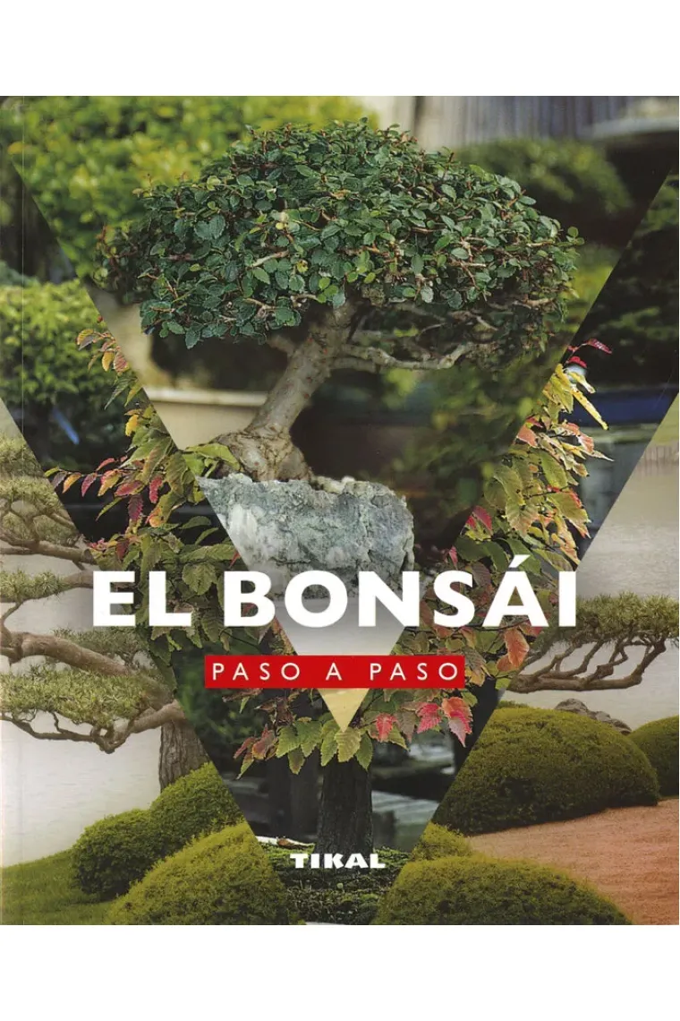 EL BONSAI PASO A PASO