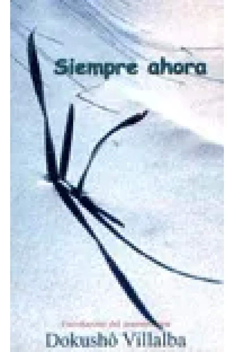 Siempre ahora