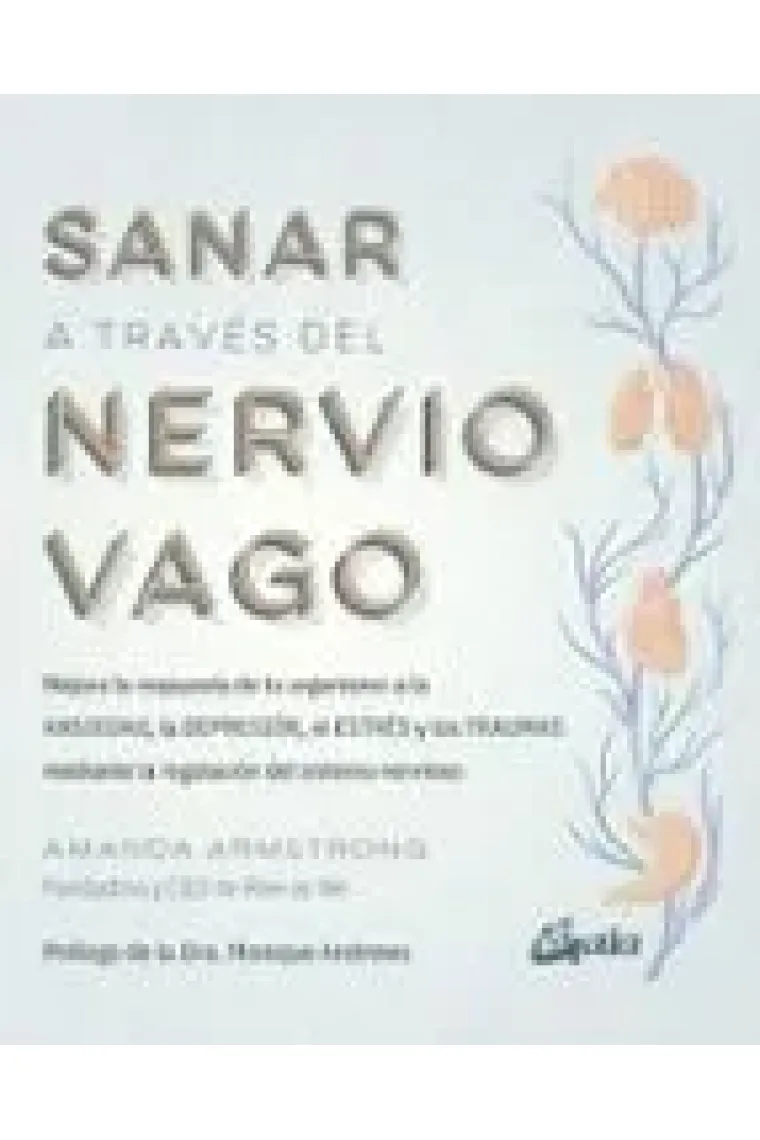Sanar a través del nervio vago