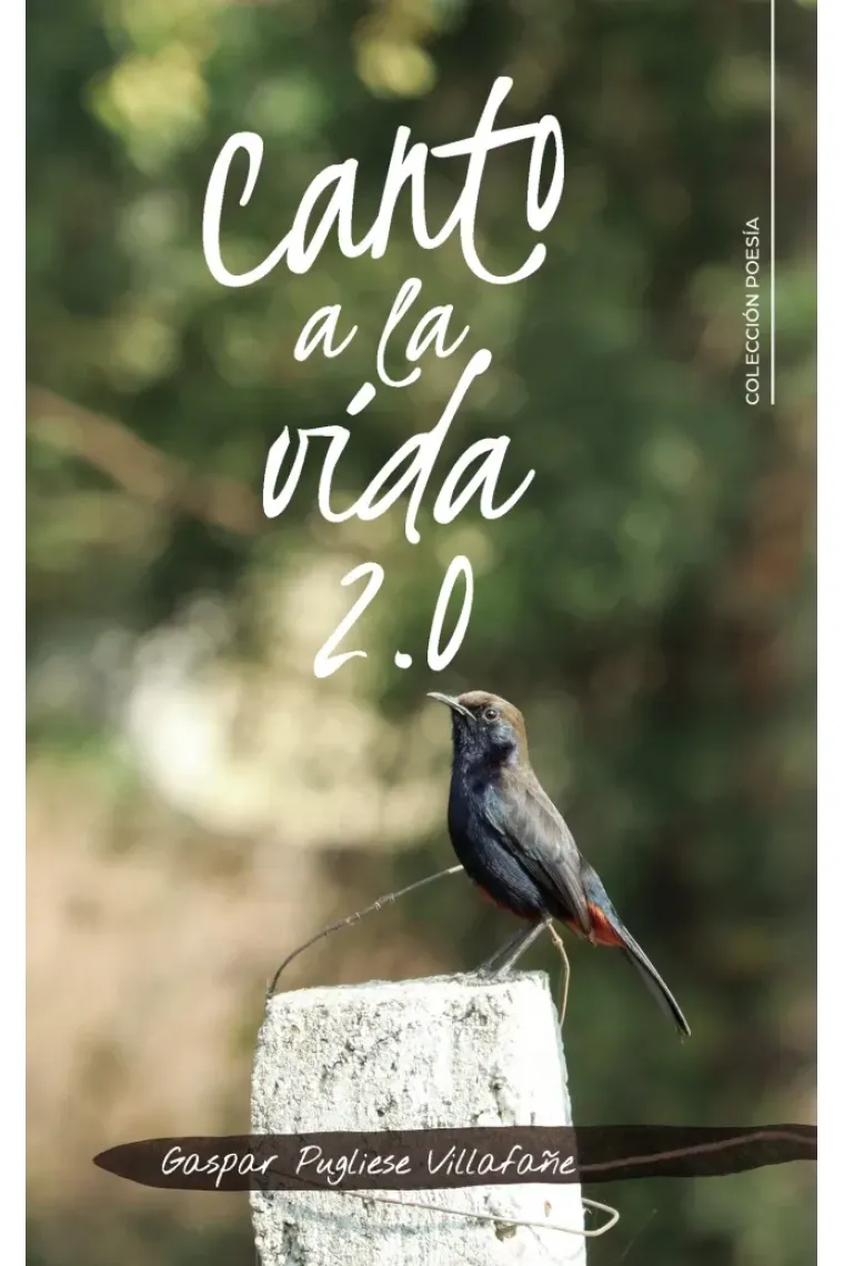 Canto a la vida 2.0