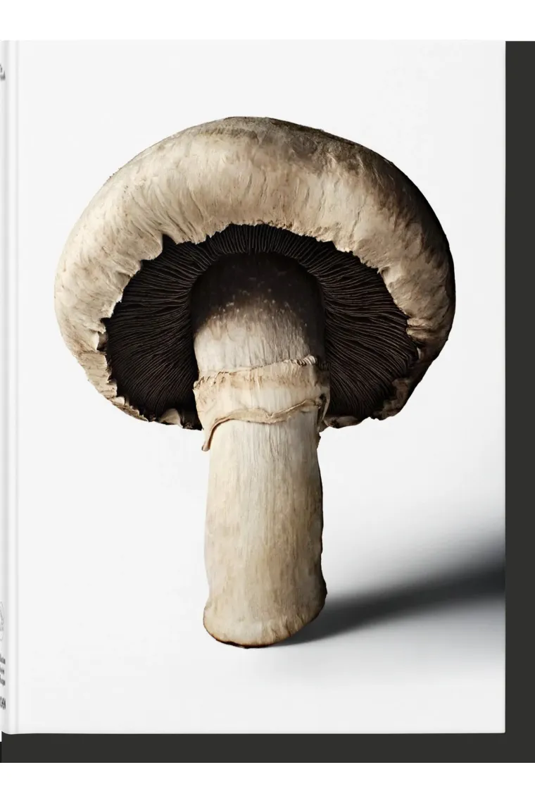 The Gourmand's Mushroom. A Collection of Stories and Recipes (Inglés)