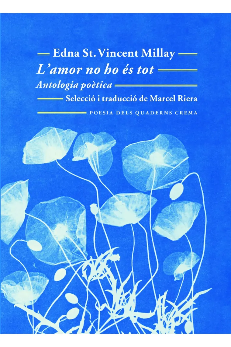 L'amor no ho és tot. (Catalán)