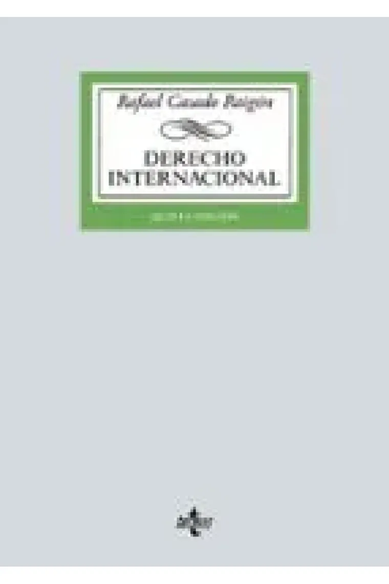Derecho Internacional (2024)