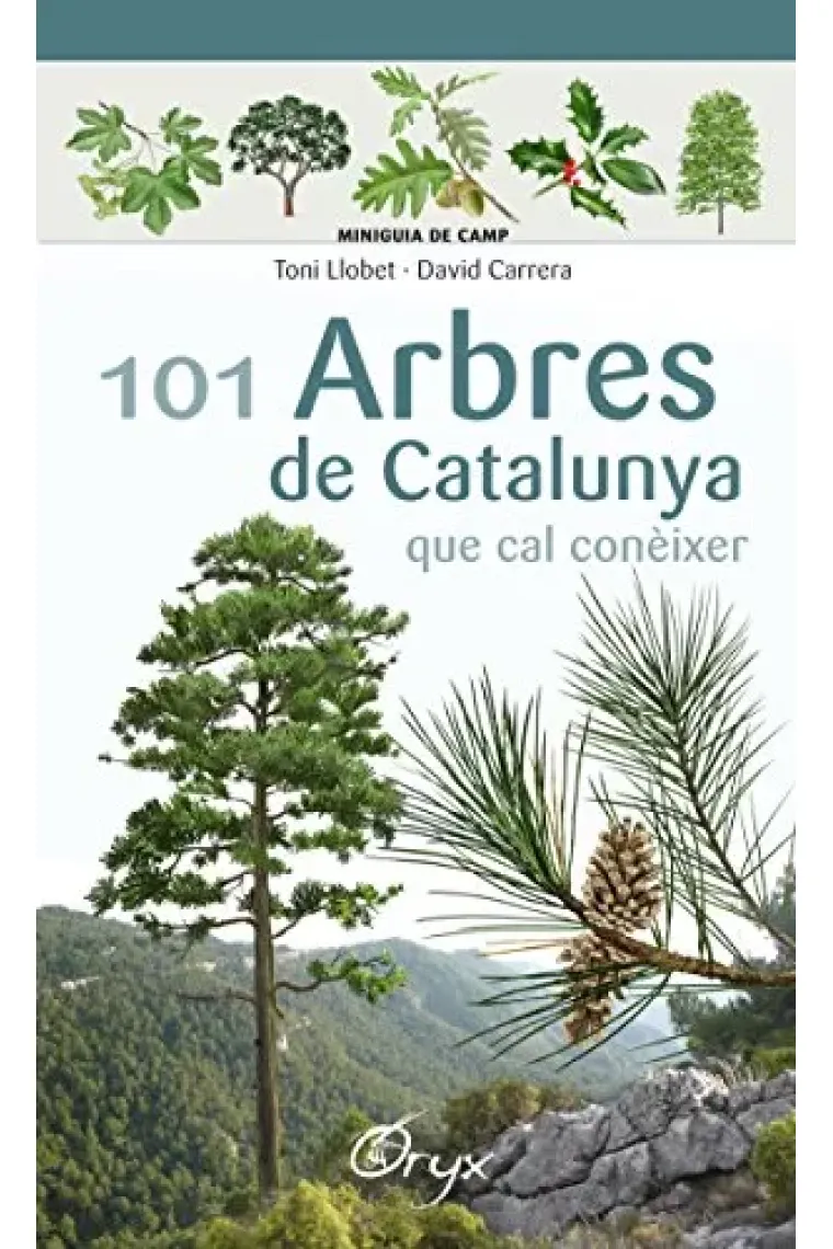 101 arbres de Catalunya. Que cal conèixer (Miniguia de camp) (Catalán)