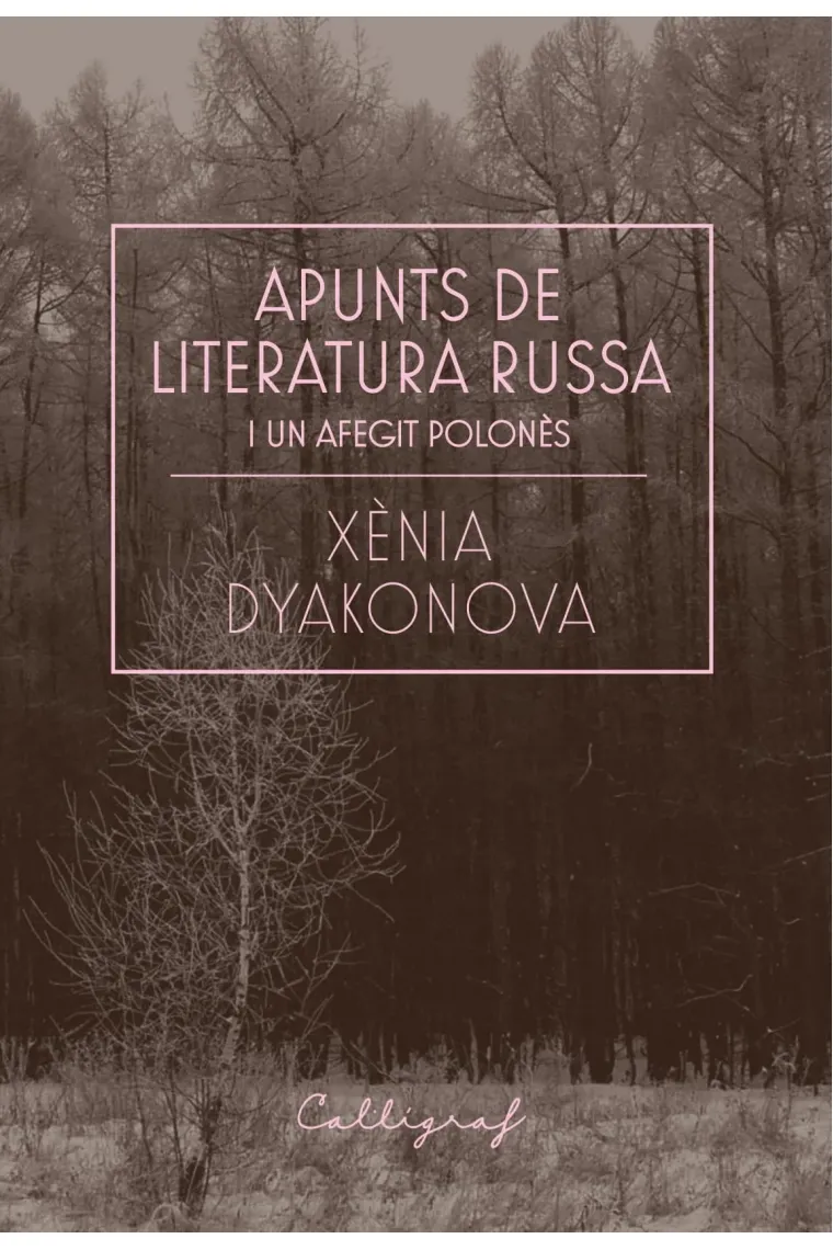 Apunts de literatura russa i un afegit polonès (Catalán)