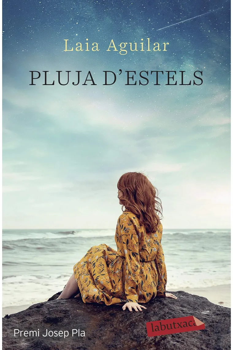 Pluja d'estels. Premi Josep Pla 2020 (Catalán)