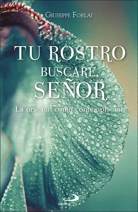 TU ROSTRO BUSCARÉ, SEÑOR