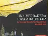 UNA VERDADERA CASCADA DE LUZ