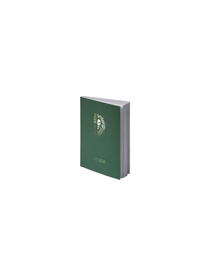 Biblia Rvr2020 Tamaño Manual Letra Grande Rústica Verde