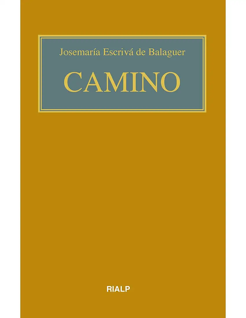 Camino (Bolsillo, Color)