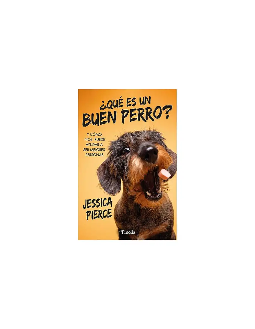 ¿Qué Es Un Buen Perro?