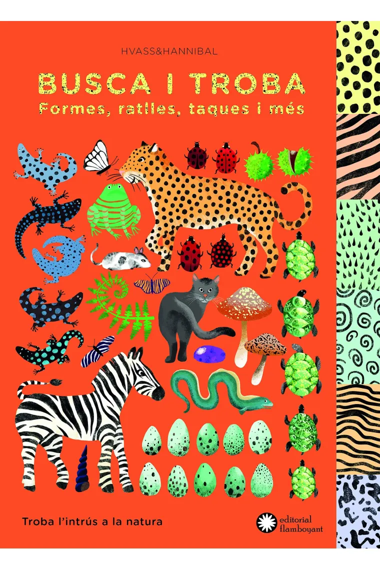 Busca i troba formes, ratlles, taques i més. (Catalán)