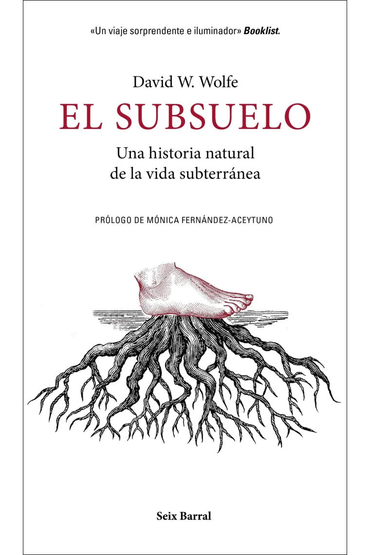 El subsuelo