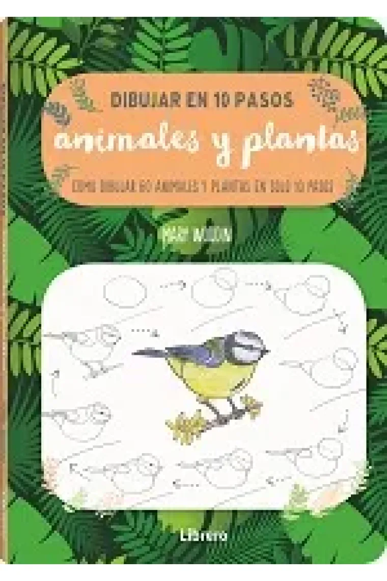 Dibujar en 10 pasos animales y plantas.