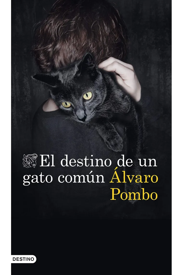 El destino de un gato común