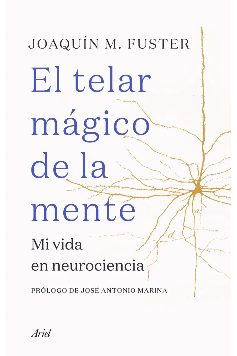 El telar mágico de la mente.